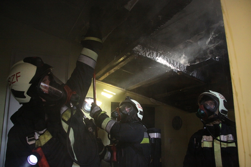 Tűz egy családi házban - tengerimalacokat is mentettek a tűzoltók