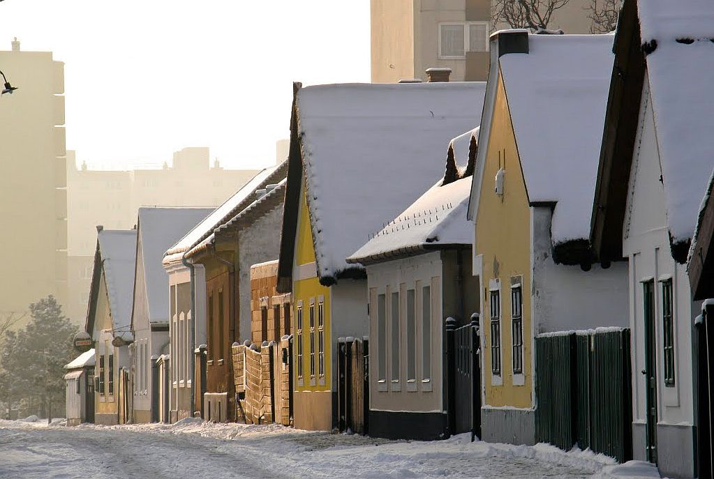 Pénteken, Luca napján nyílik meg a karácsonyfák utcája a Skanzenben