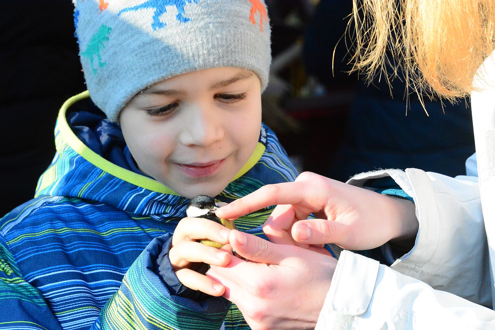 Madárkarácsonyos Ökotúra lesz a Sóstón december 21-én