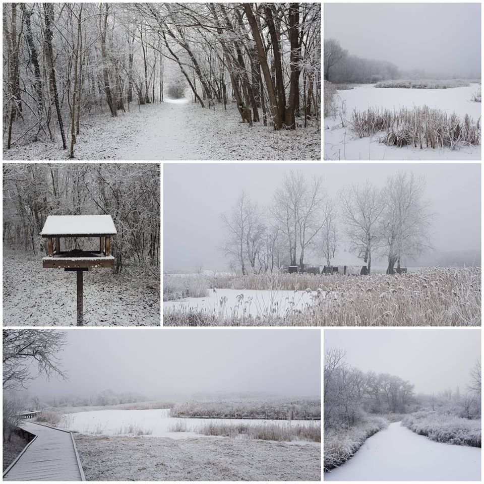 Évnyitó Ökotúrára várják a természetbarátokat a Sóstón január 18-án