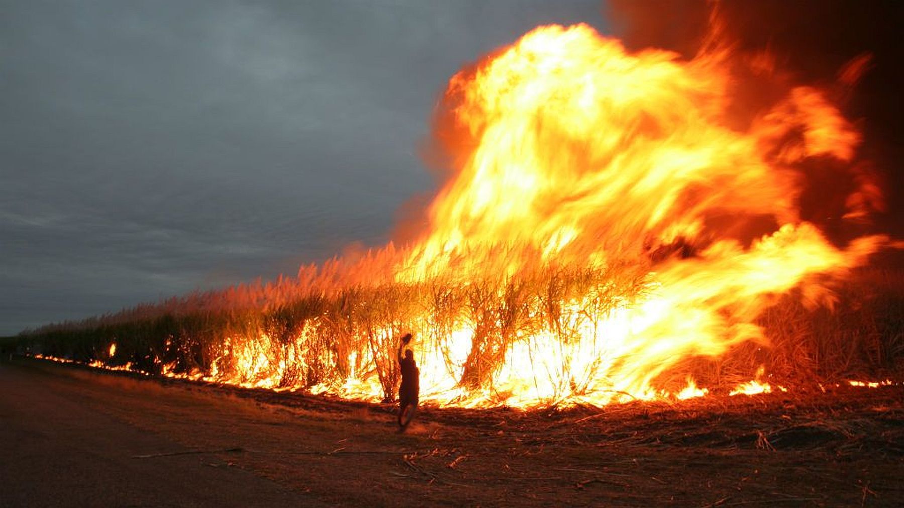 Elkészült az Ausztrália támogatására létrehozott Adományszámla