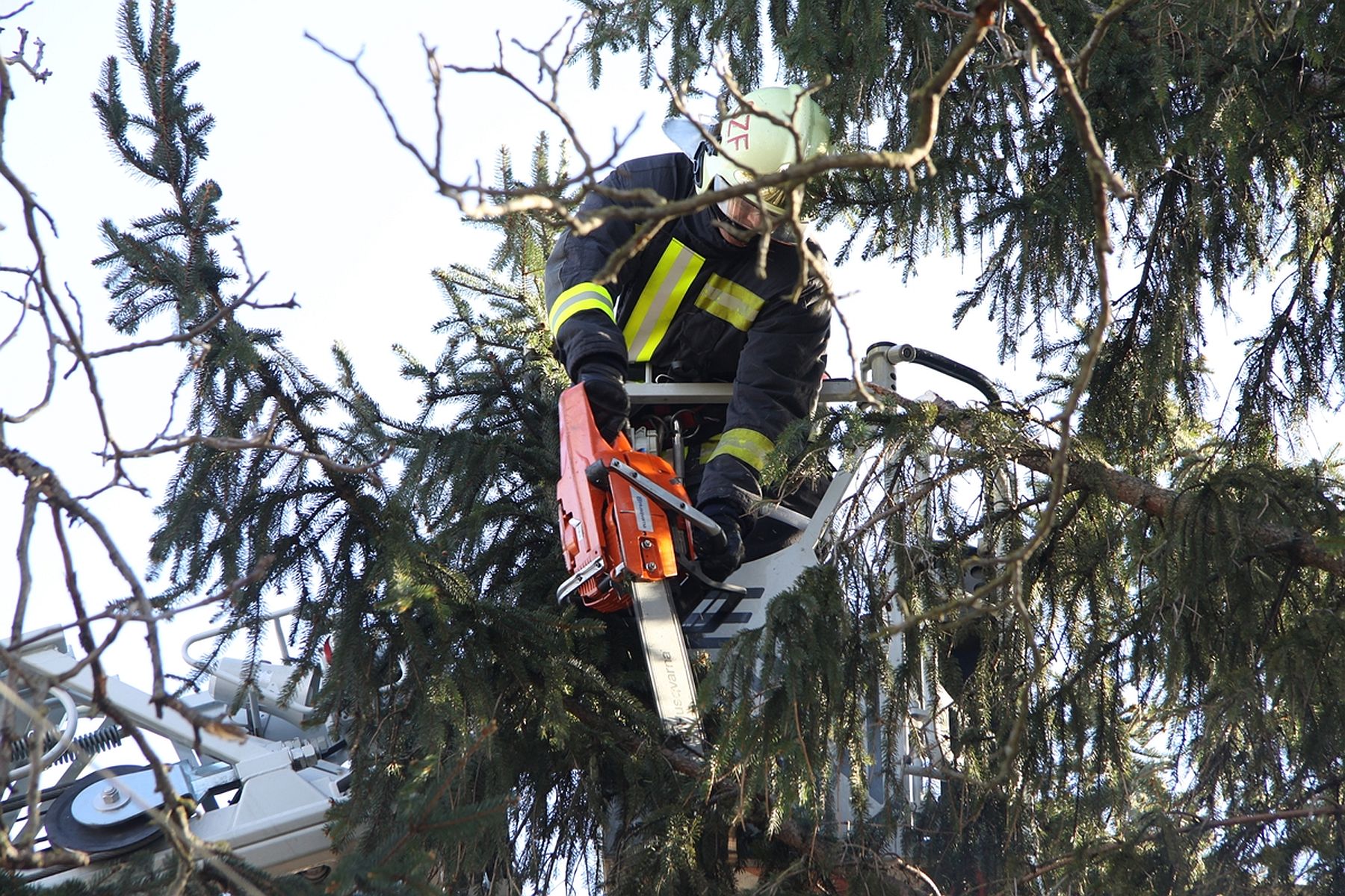 Veszélyesen megdőlt fát vágtak ki a tűzoltók Székesfehérváron