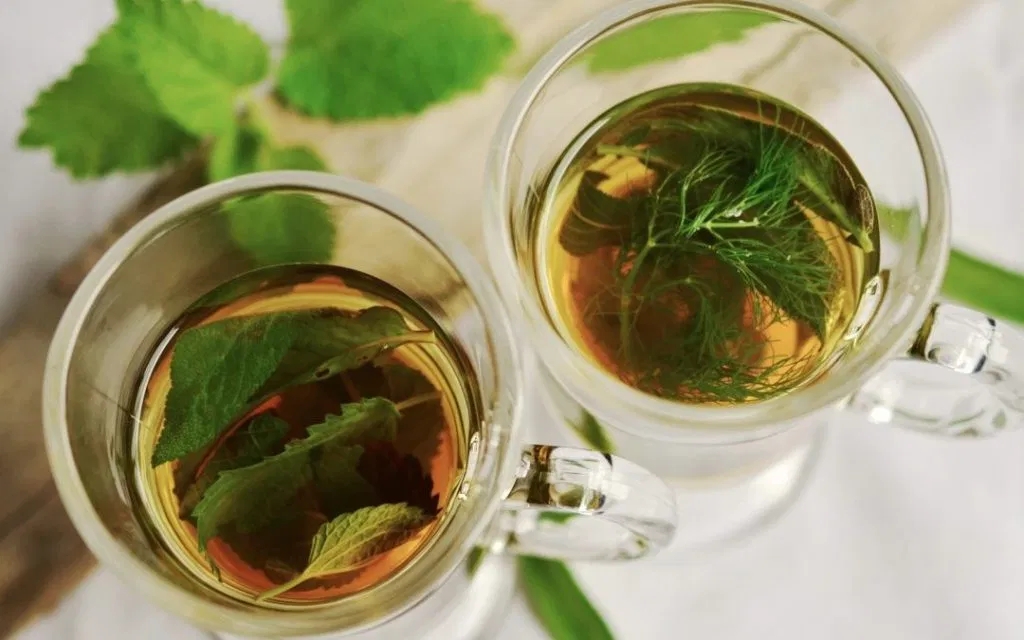 Herbarius program vasárnapra - tavaszi nagytakarítás napi 2-3 bögre teával