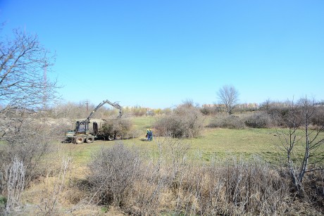 Elkezdődött az erdőtelepítés a Palotavárosi tavak mögött