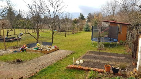 Márciusi feladatok a kertben - ültethetünk is már a palántázás mellett