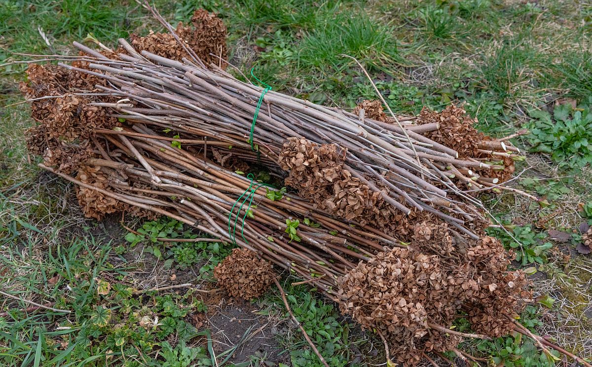 Jövő héttől szállítja el a Depónia a zöldhulladékot