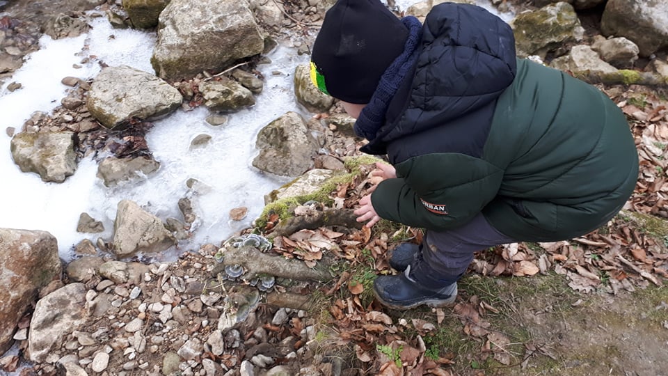 Látogathatók az erdők a járványügyi intézkedések betartásával