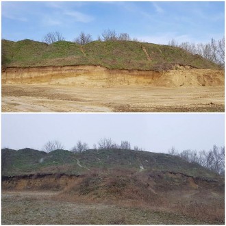 Segítség a gyurgyalagoknak és a parti fecskéknek a Sóstón