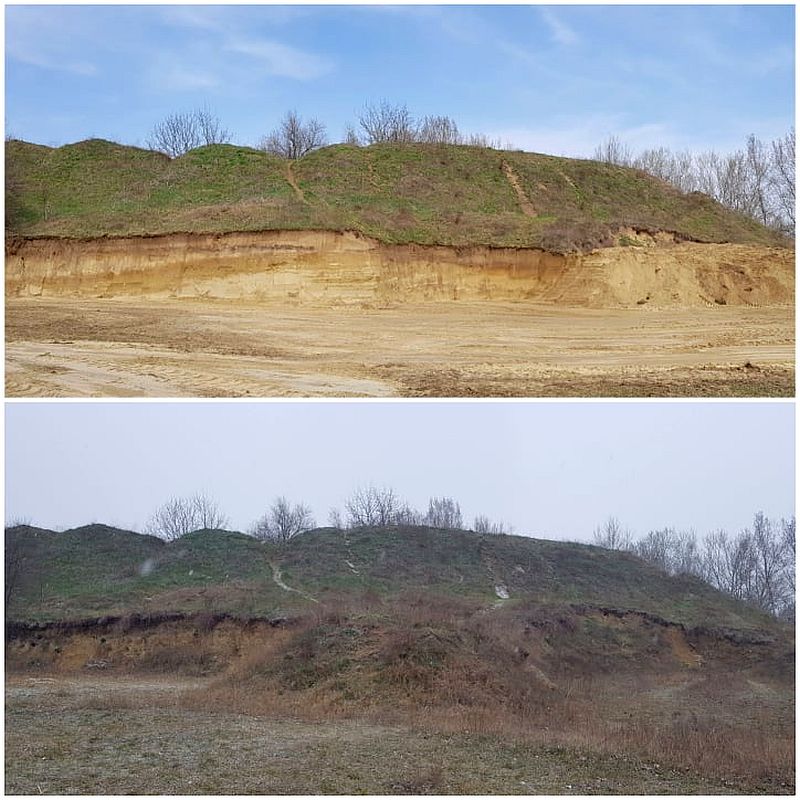 Segítség a gyurgyalagoknak és a parti fecskéknek a Sóstón