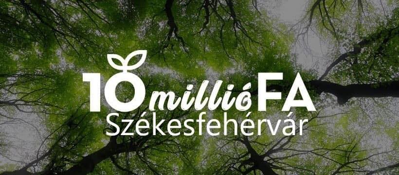 35 fa locsolásához keresnek önkéntes jelentkezőket lelkes civilek