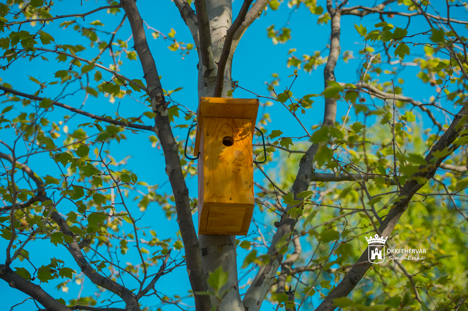 A természetvédelmi területek mellett több ponton helyeznek ki költőládákat és odúkat