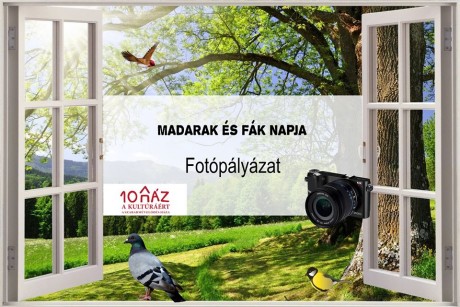 Fehérvári fotópályázatot hirdettek a Madarak és fák napja alkalmából