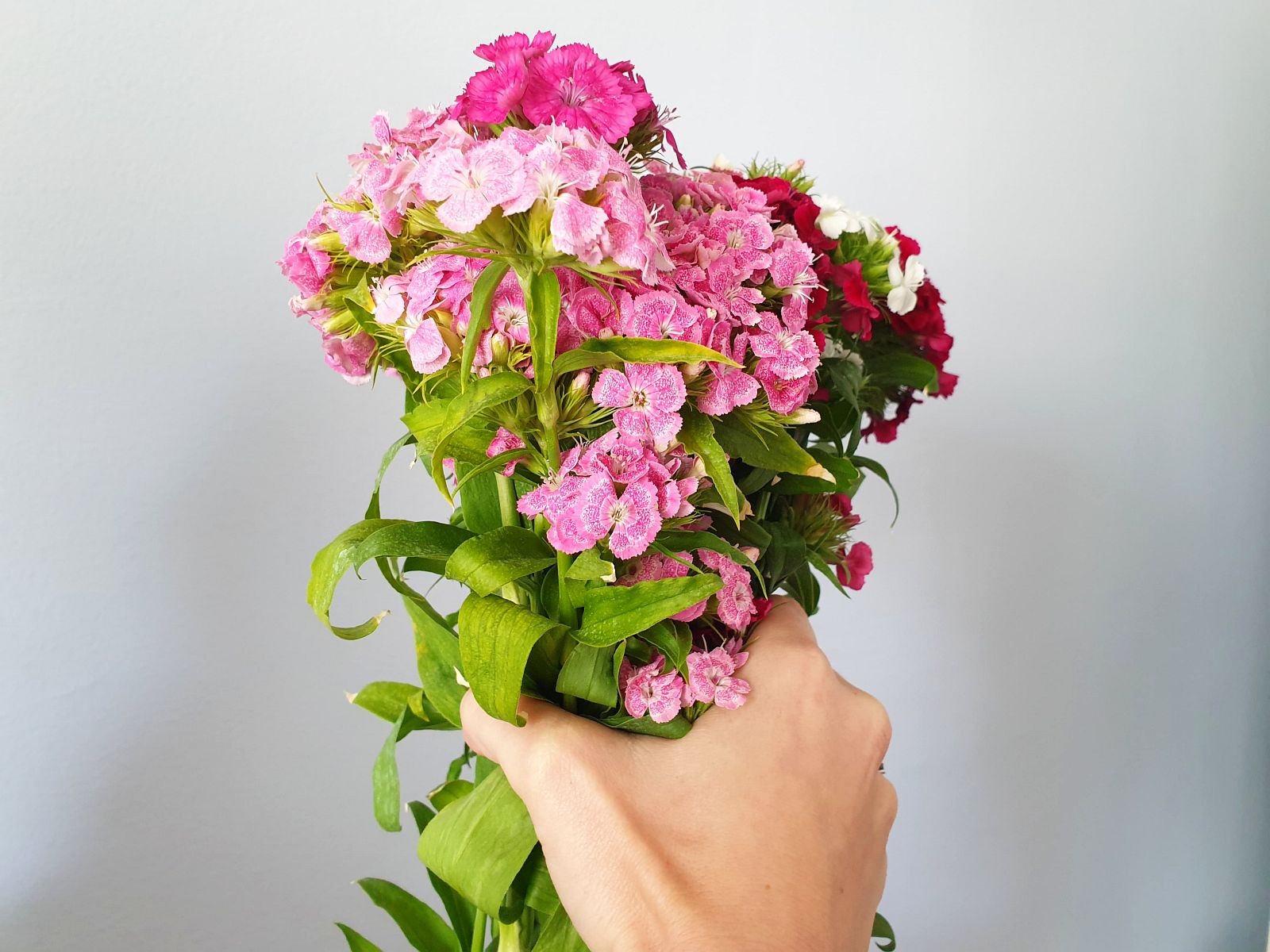 Mától érvényes a kijárási korlátozás enyhítése két területen