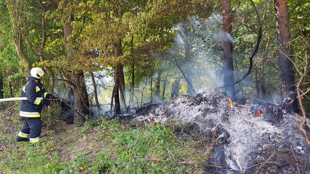 Tűz volt tegnap az erős szélben a Vértesben - továbbra is tűzgyújtási tilalom van