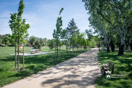 Elkezdődik a rekortán futópálya építése a Haleszban