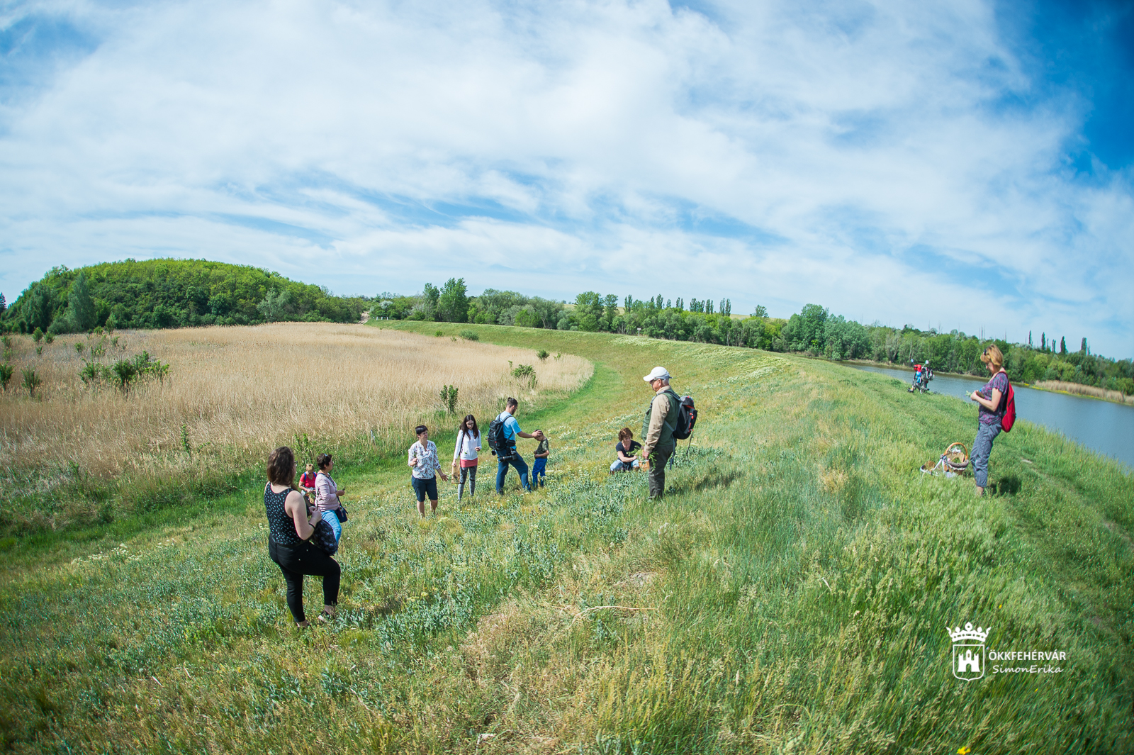A pátkai víztározónál indultak el újra a környékbeli Herbarius-gyógynövénytúrák