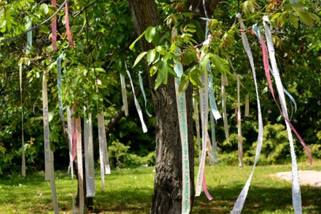 Májusfa lett a Bátky Zsigmond-emlékfa - a szalagokon a közösség üzenetei állnak