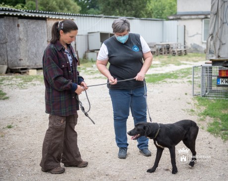 Szerencsésen vészelte át a rendkívüli járványidőszakot az ASKA állatmenhely