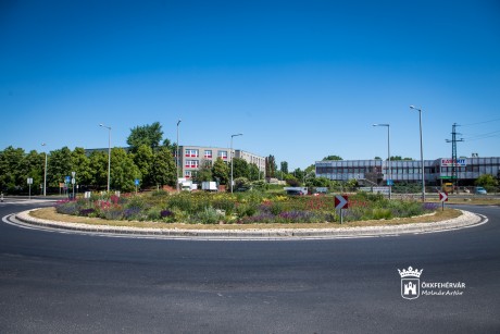 A tavasz legszebb színeiben pompáznak a Seregélyesi úti körforgalom évelő virágai