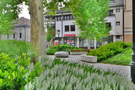 Hamarosan nyílnak a hortenziák is az Országzászló téren