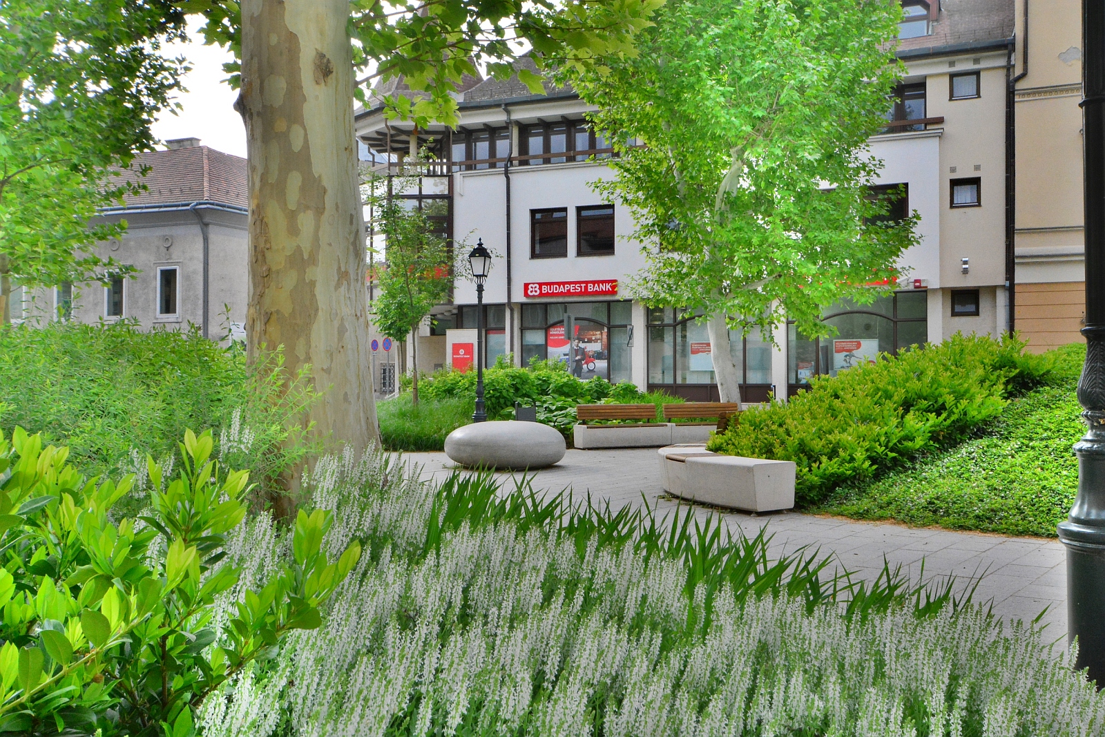 Hamarosan nyílnak a hortenziák is az Országzászló téren