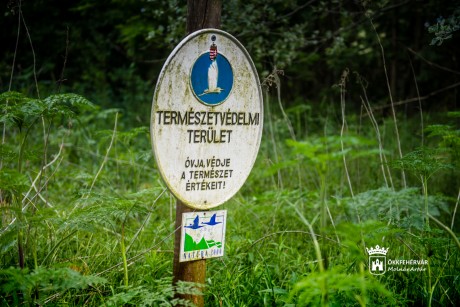 Helyi védettség alatt álló területek Székesfehérvár körül