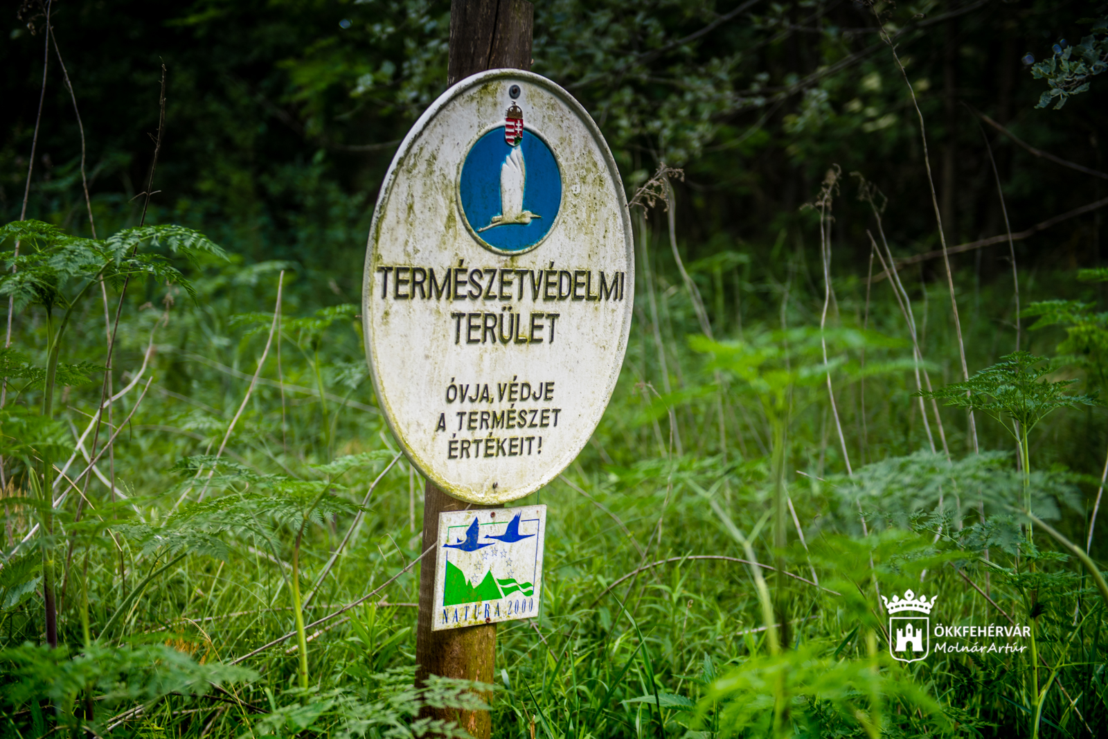 Helyi védettség alatt álló területek Székesfehérvár körül