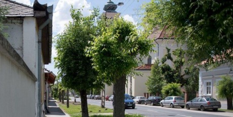 Áramszünet lesz a Havranek József utcában jövő hét kedden és szerdán
