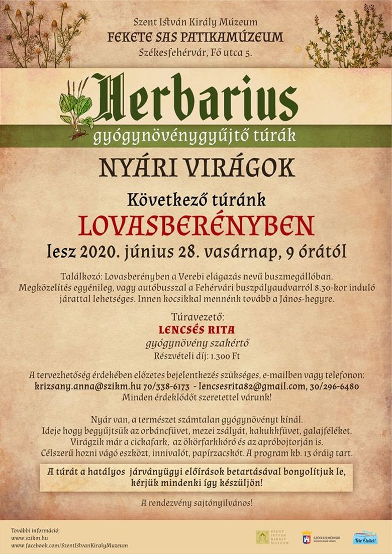 Lovasberényben folytatódik a múzeum Herbarius túrája