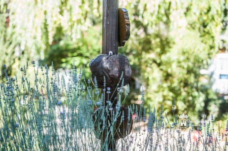 Mesés kiskertek a fehérvári óvodákban - környezetük megóvására nevelik a kicsiket