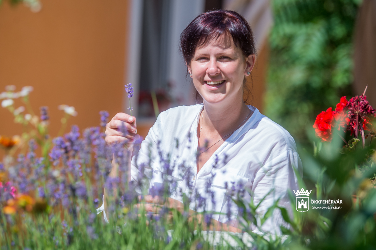 Kiadvány készül a környék gyógynövényeiről - beszélgetés Lencsés Ritával