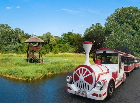 Augusztusban két kisvonatos családi túra indul a Belvárosból a Sóstóra