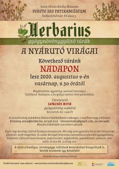 A nyárutó virágai - Nadapra indul Herbarius túra vasárnap