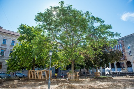 Új közösségi tér a Belvárosban - zajlik a Bartók Béla tér megújítása