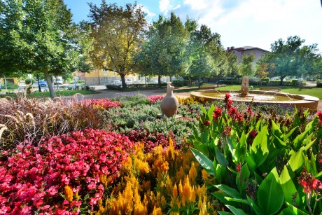 Vasárnap délutáni virágos séta Székesfehérváron