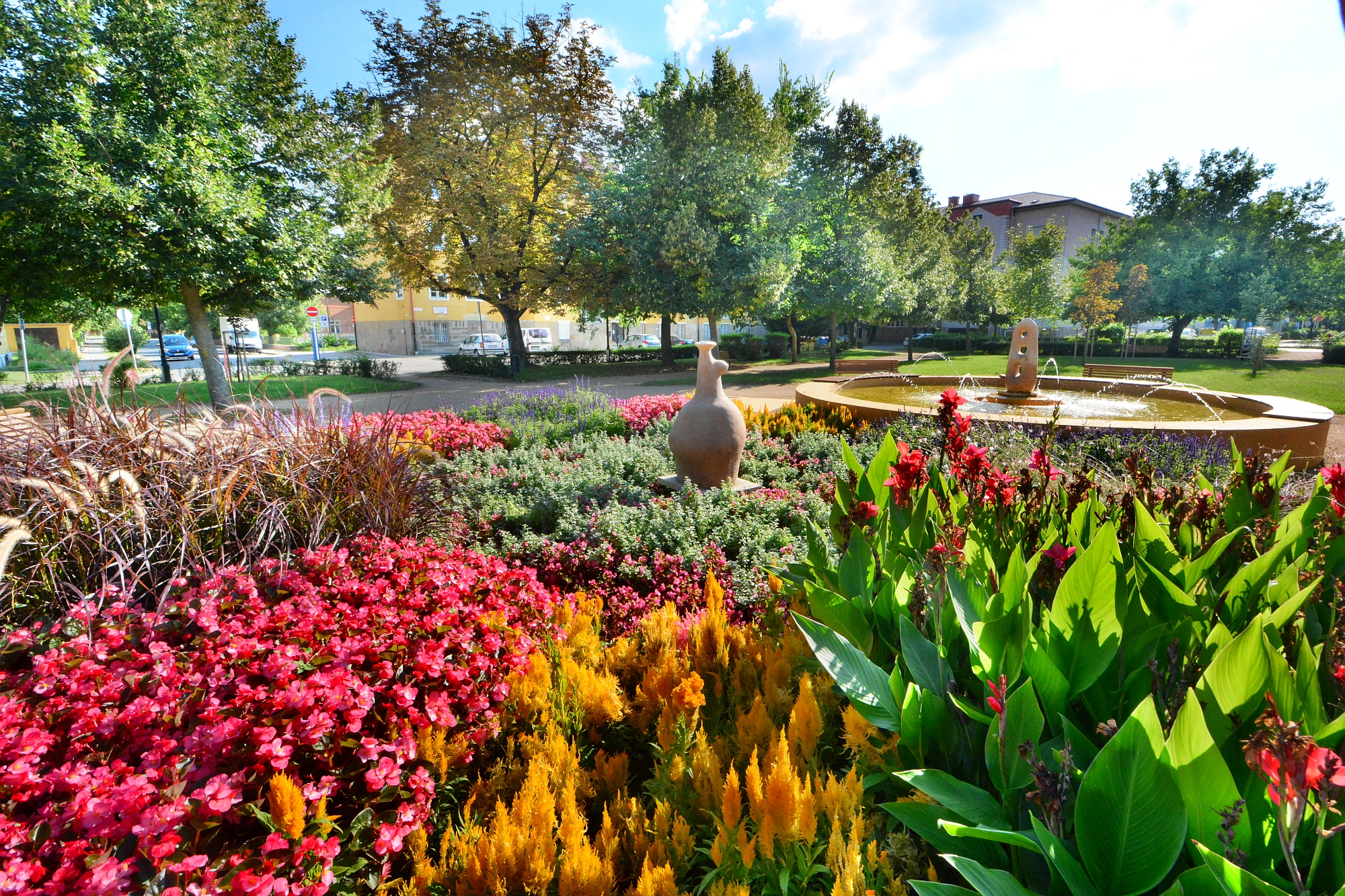 Vasárnap délutáni virágos séta Székesfehérváron