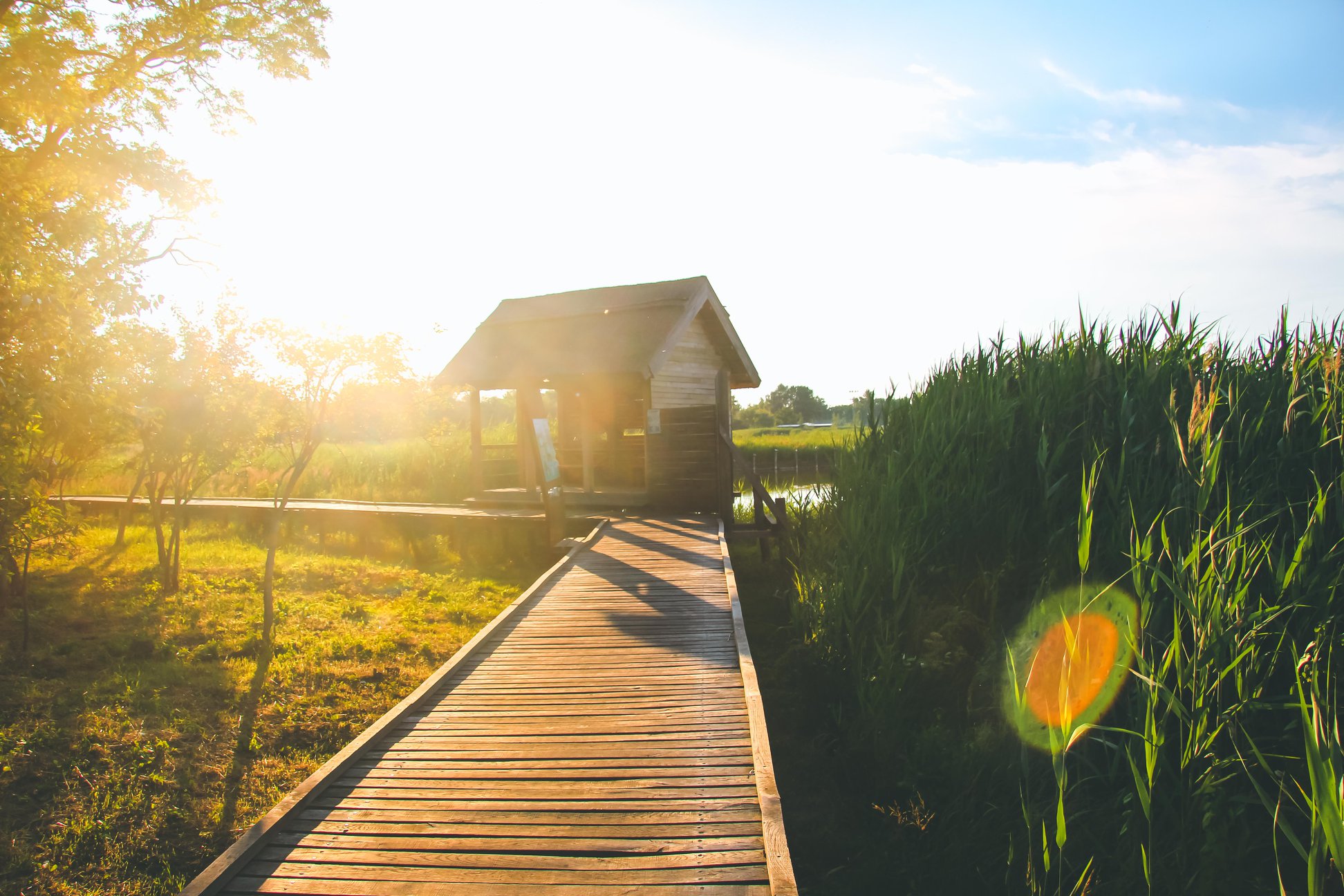 Az első őszi ökotúrát rendezik szombaton a Sóstó Természetvédelmi Területen