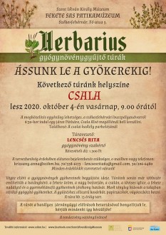 Ássunk le a gyökerekig! - Csalára indul Herbarius-túra vasárnap