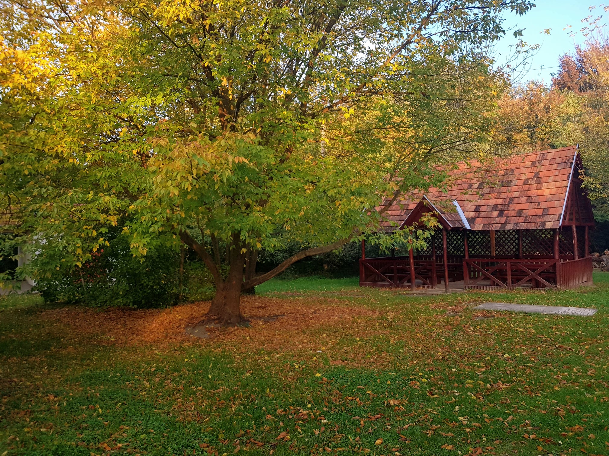 Szombaton lesz az első novemberi ökotúra a Sóstón
