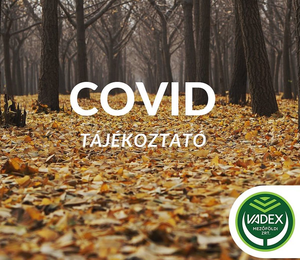 Ideiglenesen bezárta egyes létesítményeit a VADEX, az erdők azonban látogathatók