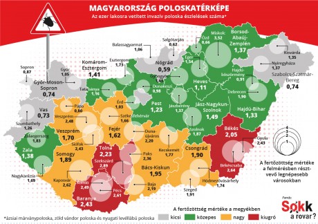 Elkészült a poloskatérkép - Fehérváron és környékén is nagy a fertőzöttség