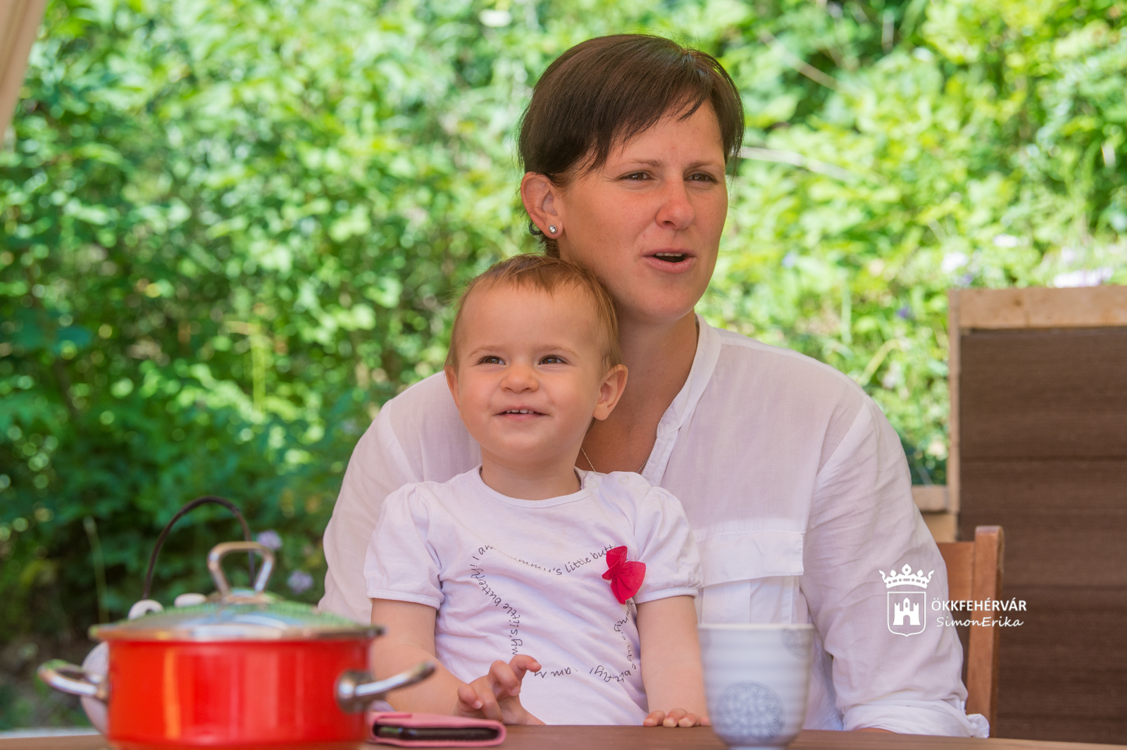 A gyógynövények nyomában - kiadvány Fejér megye természetes patikájáról