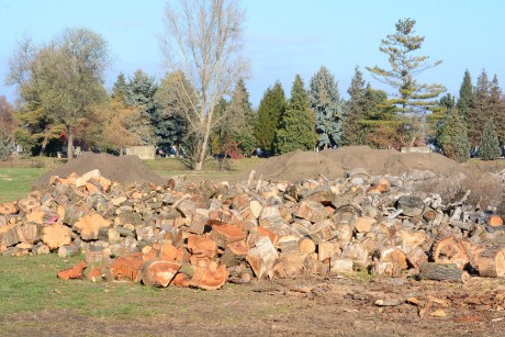 Hasábokra fűrészelve mintegy 60 támogatottnak szállított ki szociális tűzifát Városgondnokság