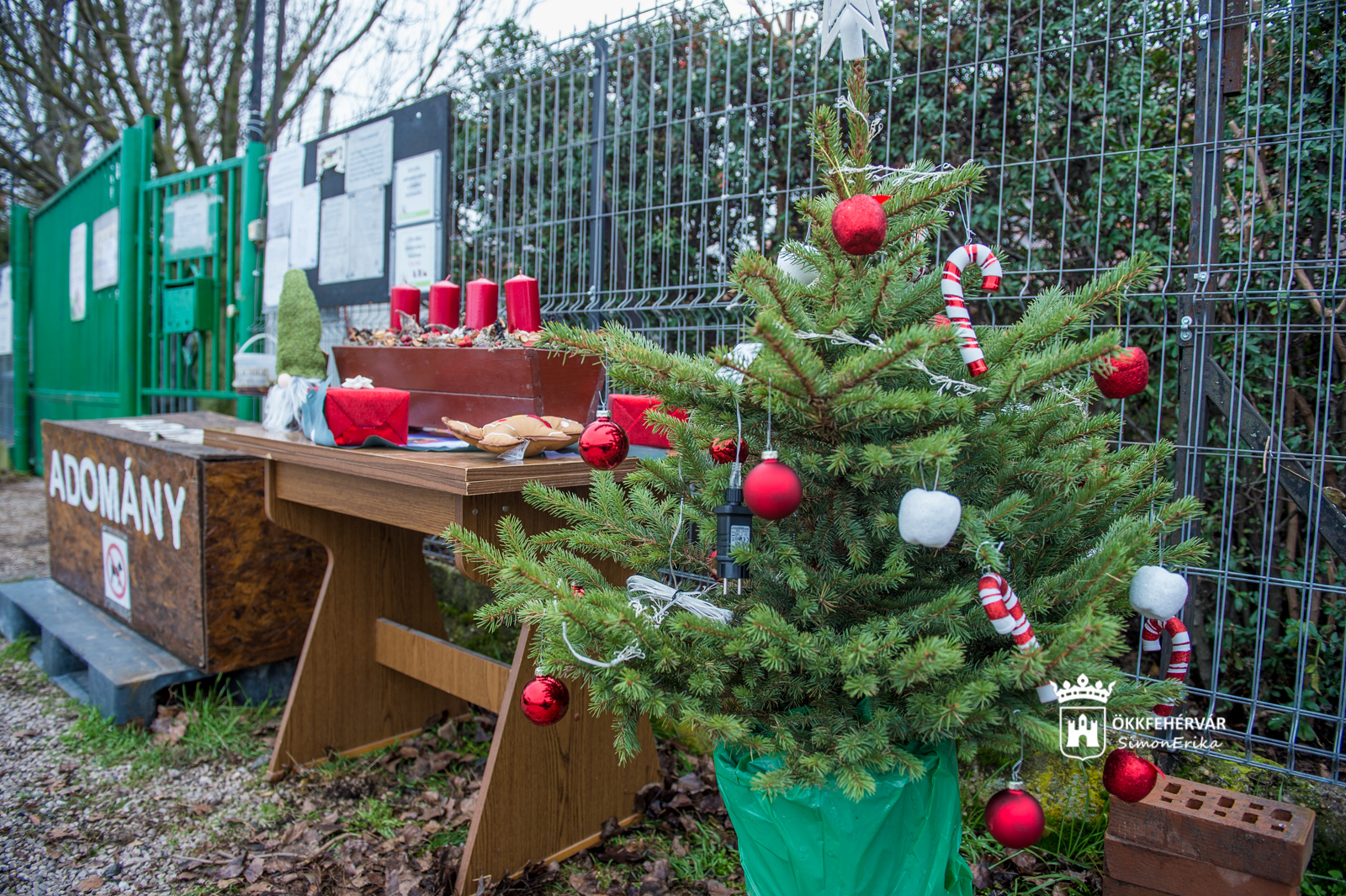 Folyamatosan gyűjti az karácsonyi adományokat a HEROSZ Fehérvári Állatotthona
