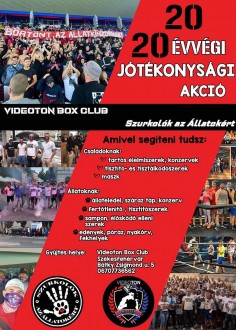 Jótékonykodik a Videoton Box Club - az akcióhoz hétfőig lehet csatlakozni