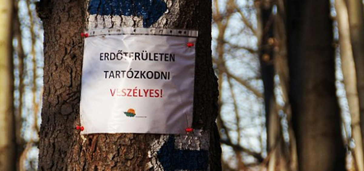 Erdőlátogatási korlátozás lesz szombaton Fehérvár, Pákozd és Sukoró környékén