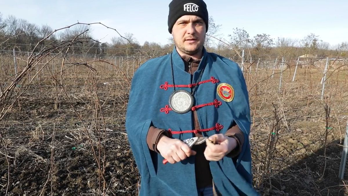 A Noé-hegyi Szent István Borlovagrend főborásza vágott vincevesszőt