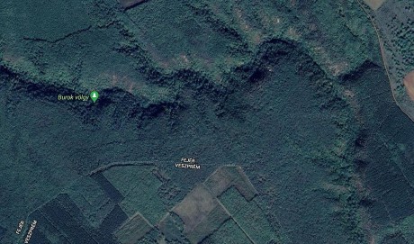 Az erdőben rekedt túrázókon segítettek a rendőrök és a hivatásos vadász