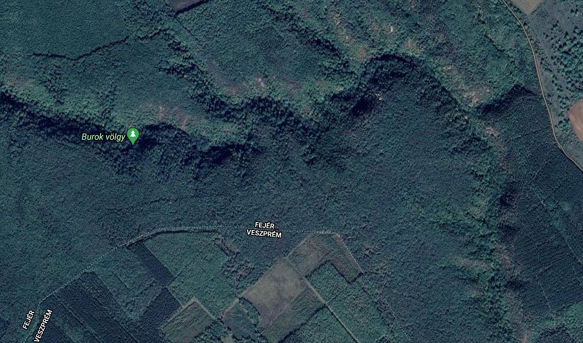 Az erdőben rekedt túrázókon segítettek a rendőrök és a hivatásos vadász