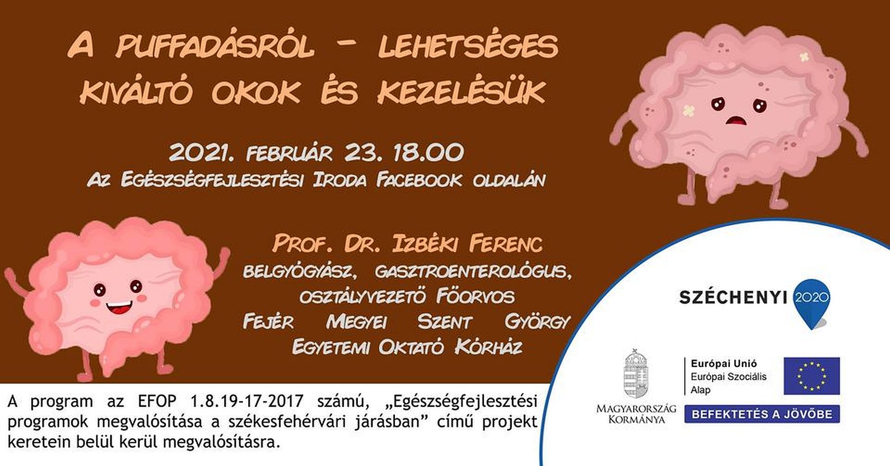 Online belgyógyászati-gasztroenterológiai előadás lesz kedden este az EFI-nél